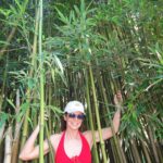abbracciare la natura per am è abbracciare il bambù della foresta di Maui