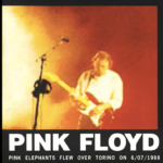 pink floyd memory torino 6 luglio 1988