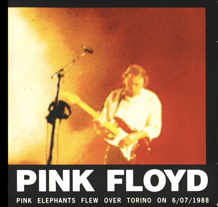 pink floyd memory torino 6 luglio 1988