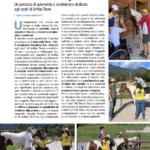 il cavallo che insegna fiducia