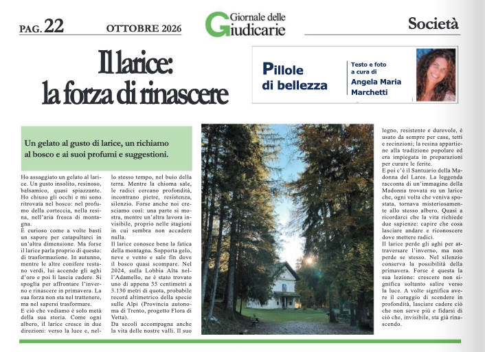 il larice